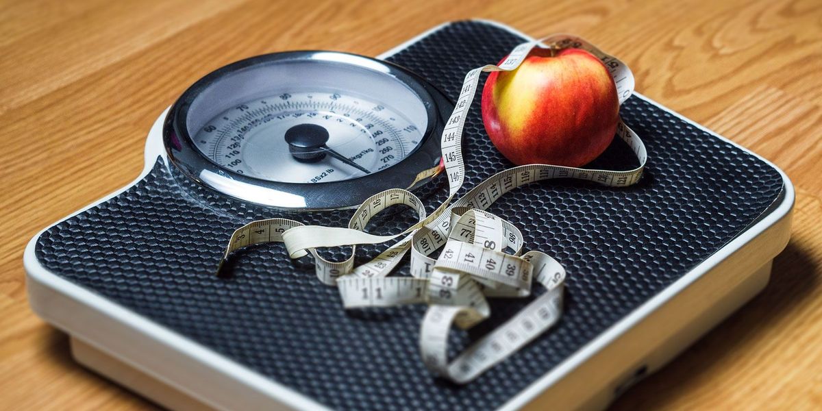 Les 6 millors aplicacions de pèrdua de pes per al 2019