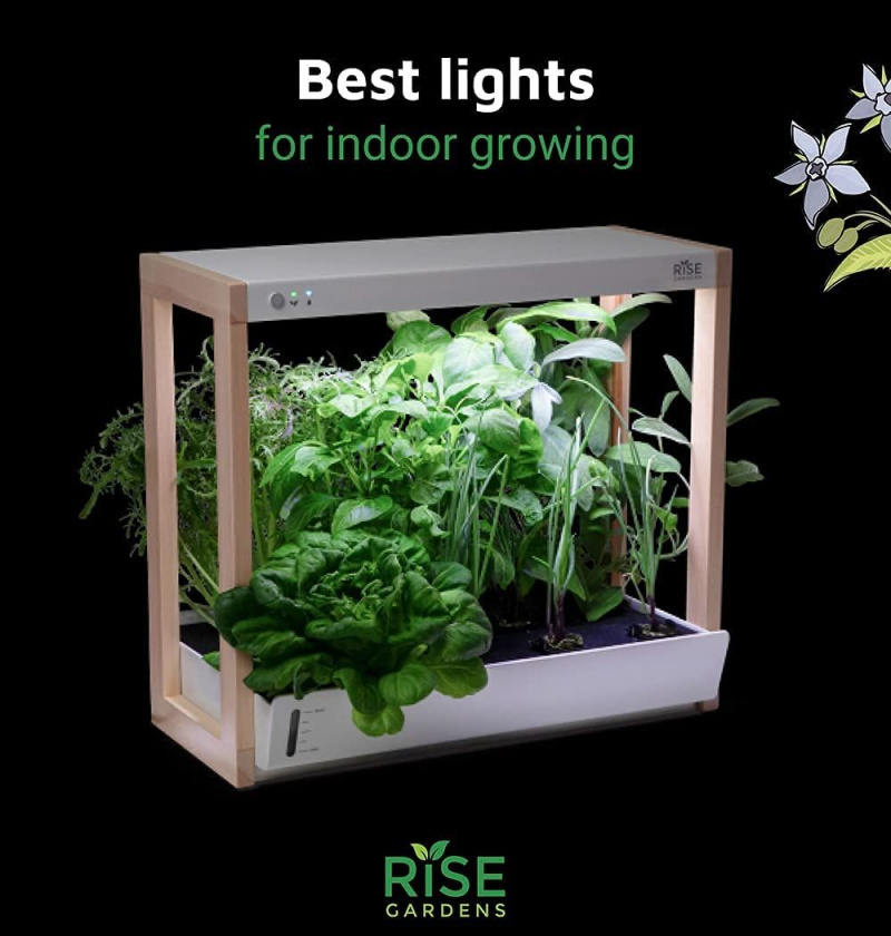   Rise Gardens Personal Garden en Starter Kit licht