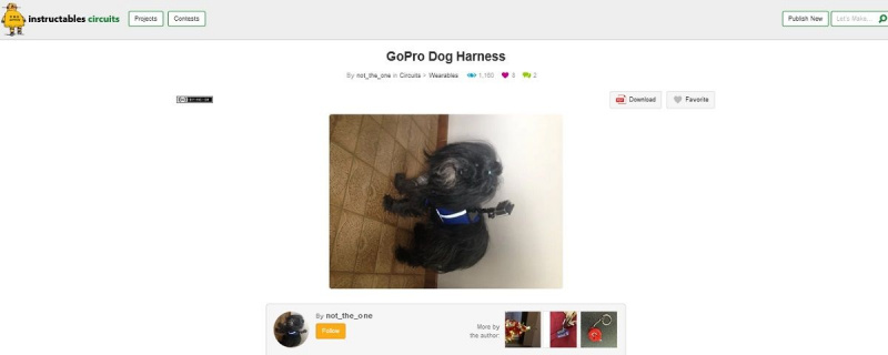   Kuvakaappaus GoPro koiravaljaiden projektisivulta