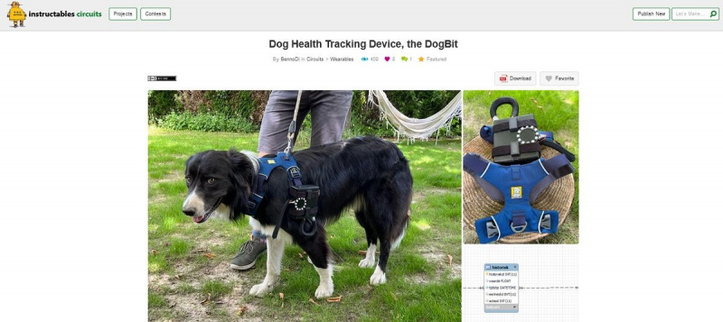   Kuvakaappaus koiran terveyden seurantalaitteesta DogBit-projektisivulta