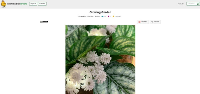   Snimka zaslona stranice projekta DIY svjetleći vrt