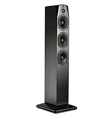 Absolute Tower 라우드 스피커를 사용한 NHT Back After Absolute Tower Loudspeaker