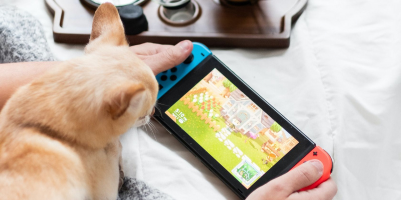   Oseba, ki igra Animal Crossing New Horizons s psom