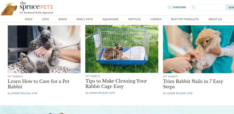   capture d'écran du site Web Spruce Pets