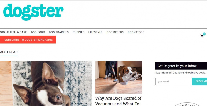   capture d'écran du site web dogster