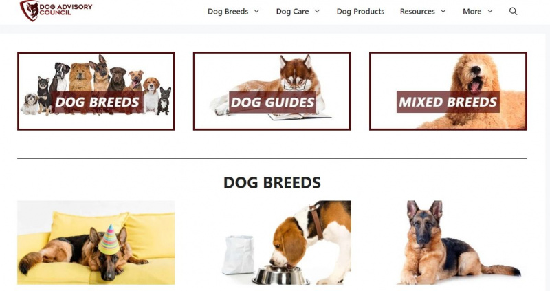   capture d'écran du conseil consultatif des chiens
