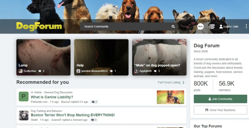   犬フォーラムのウェブサイトのスクリーンショット