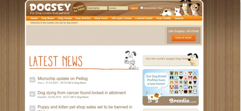   capture d'écran du site dogsey