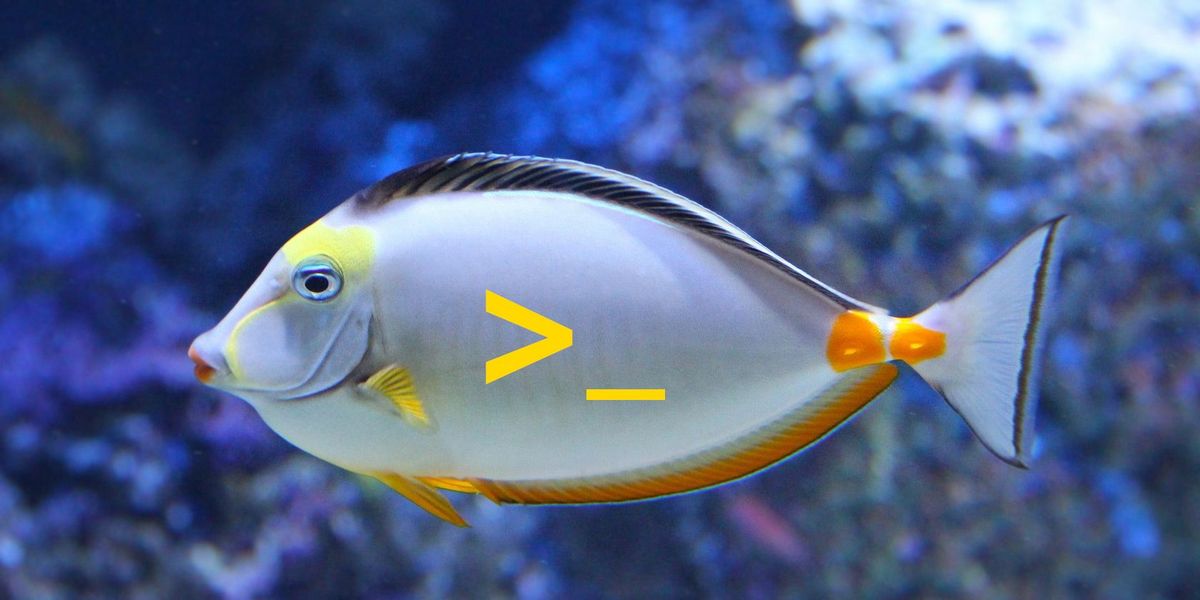 7 Gründe, warum Sie die Fischmuschel installieren sollten