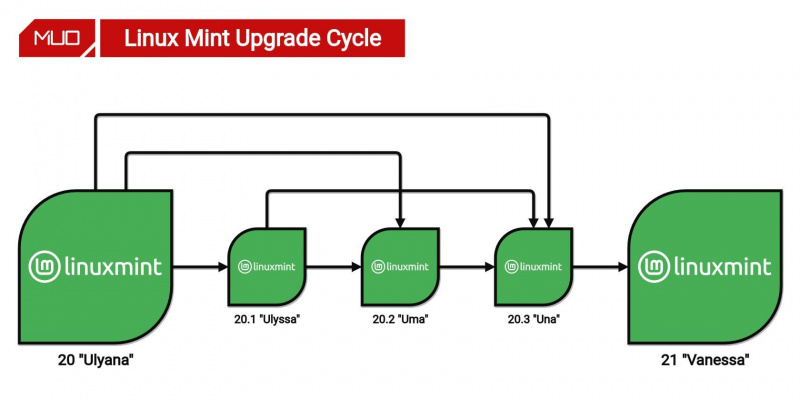  תרשים זרימה המציג נתיבי שדרוג שונים של Linux Mint 21.