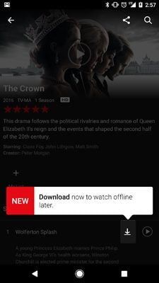 Netflix aggiunge l'opzione di visualizzazione offline
