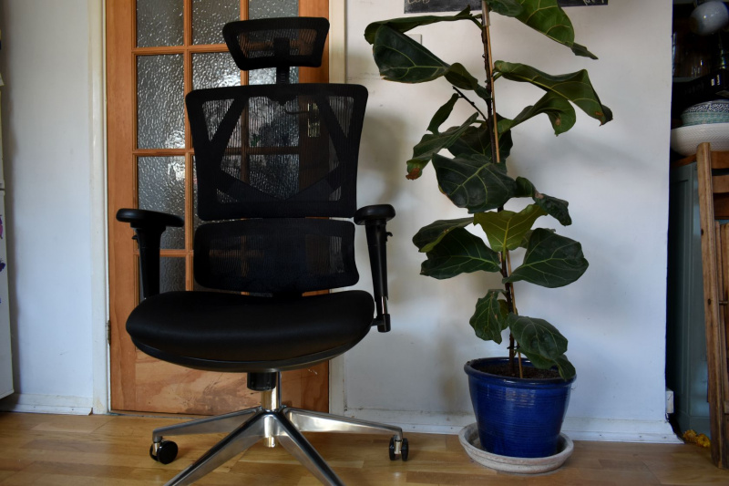 סקירת Sihoo M90D: כיסא משרדי ארגונומי הוא ערך רב