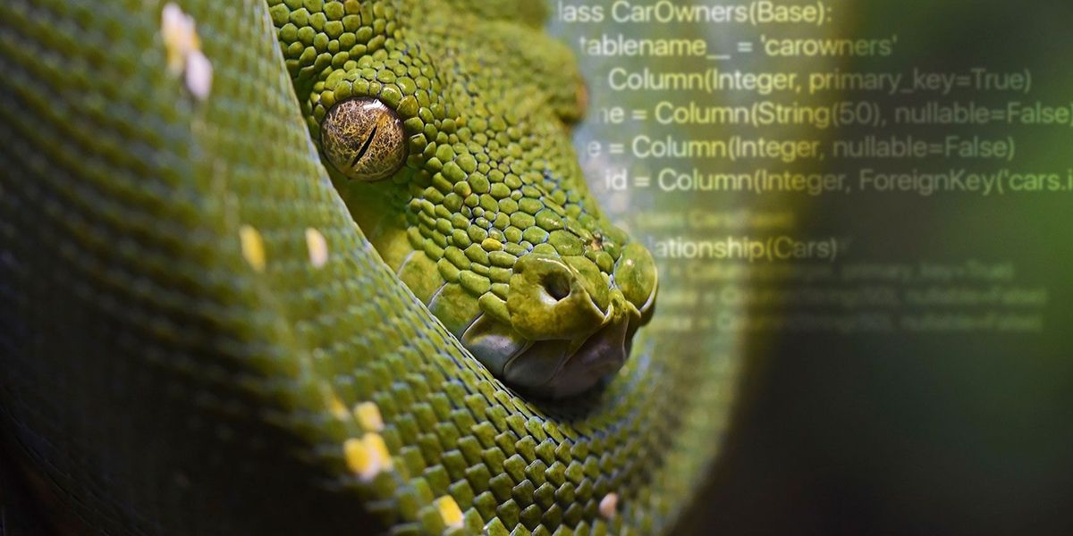 Όλα όσα πρέπει να γνωρίζετε για τους Python και τους Χάρτες Σχέσης Αντικειμένων