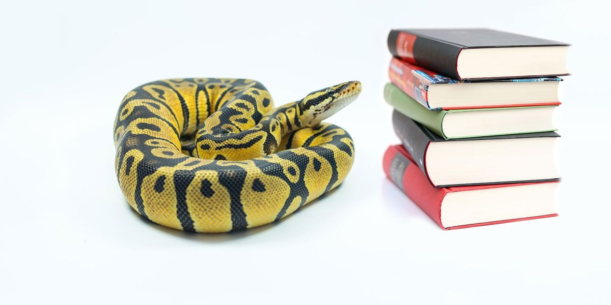 Slovník Pythonu: Ako ho môžete použiť na napísanie lepšieho kódu