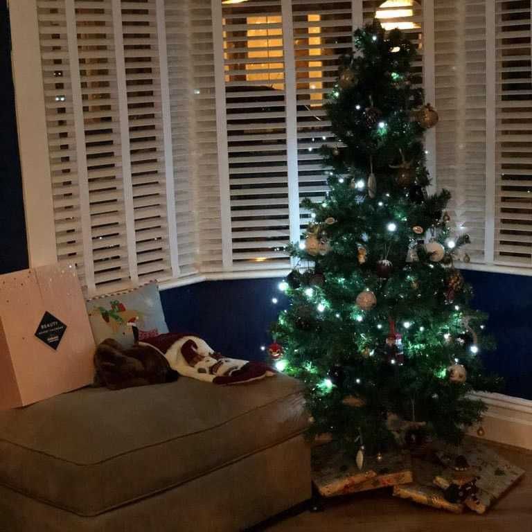 أفضل شجرة عيد الميلاد الاصطناعية في المملكة المتحدة