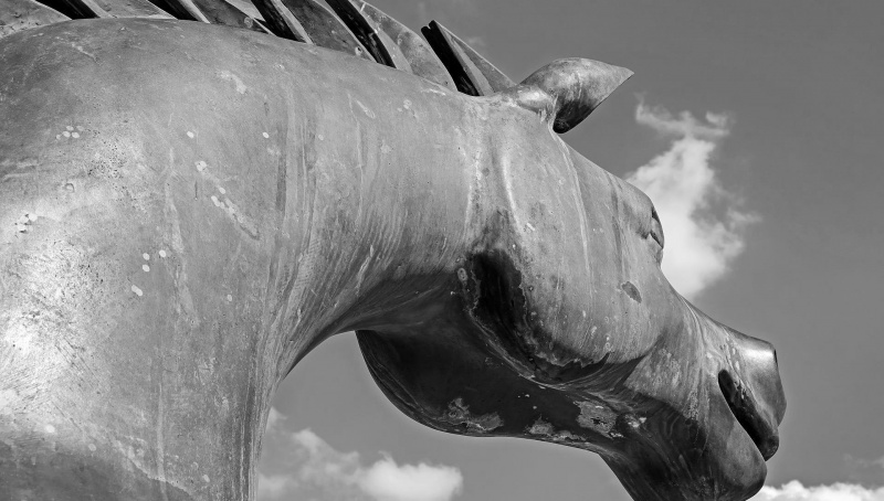   posnetek kipa konja od blizu