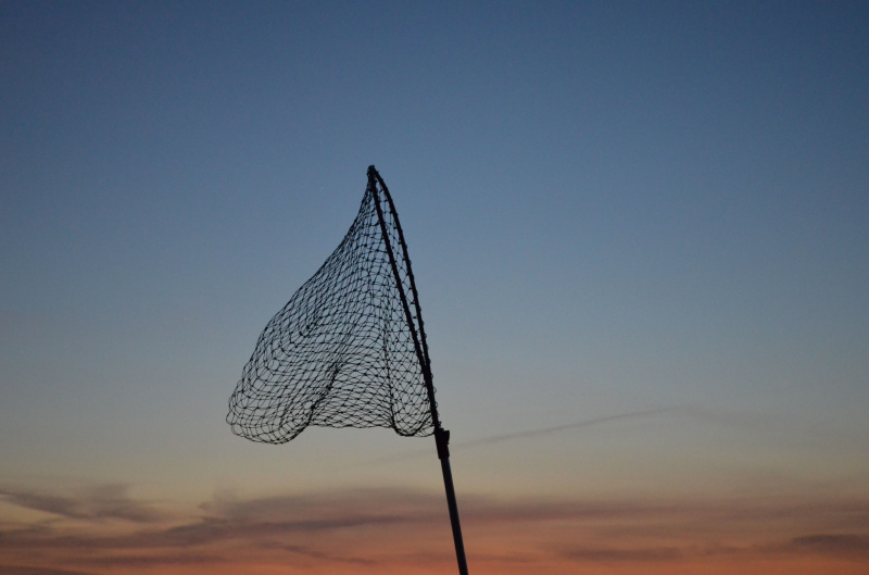   ett fiskenät som hålls högt mot solnedgången
