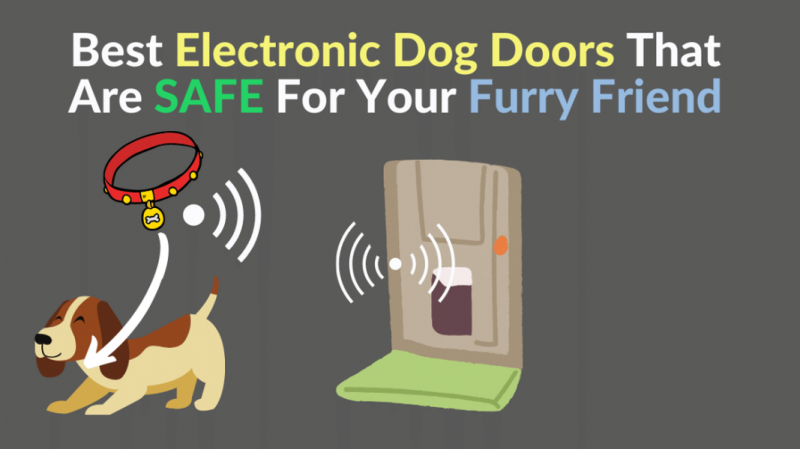 Melhores portas eletrônicas para cães que são seguras para seu amigo peludo