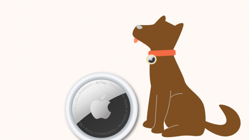 Labākās Apple Airtag suņu kaklasiksnas: mēs veicām izpēti