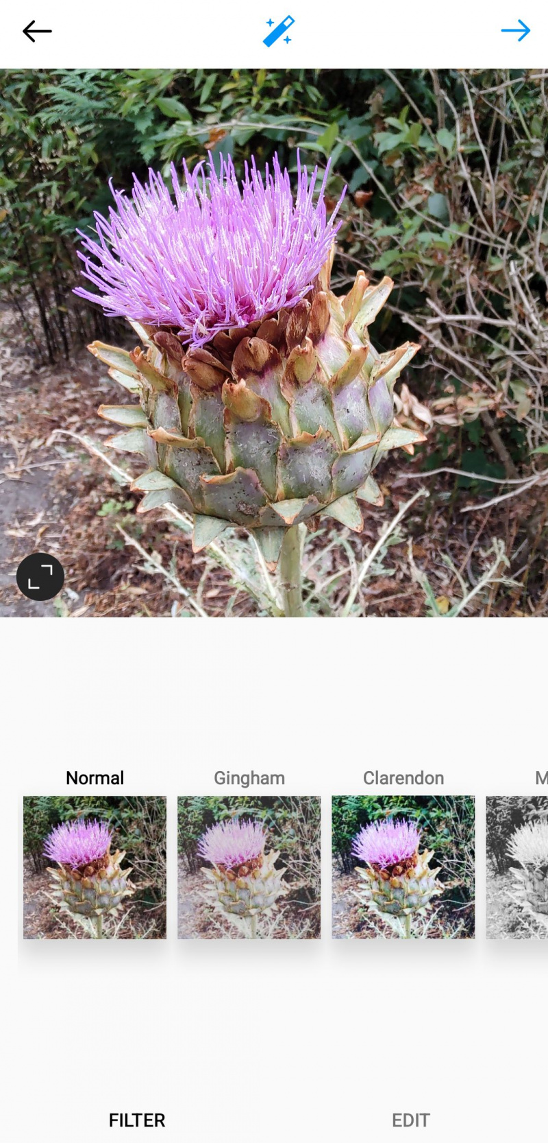   Lux attēla uzlabošanas ikona pakalpojumā Instagram mobilajām ierīcēm