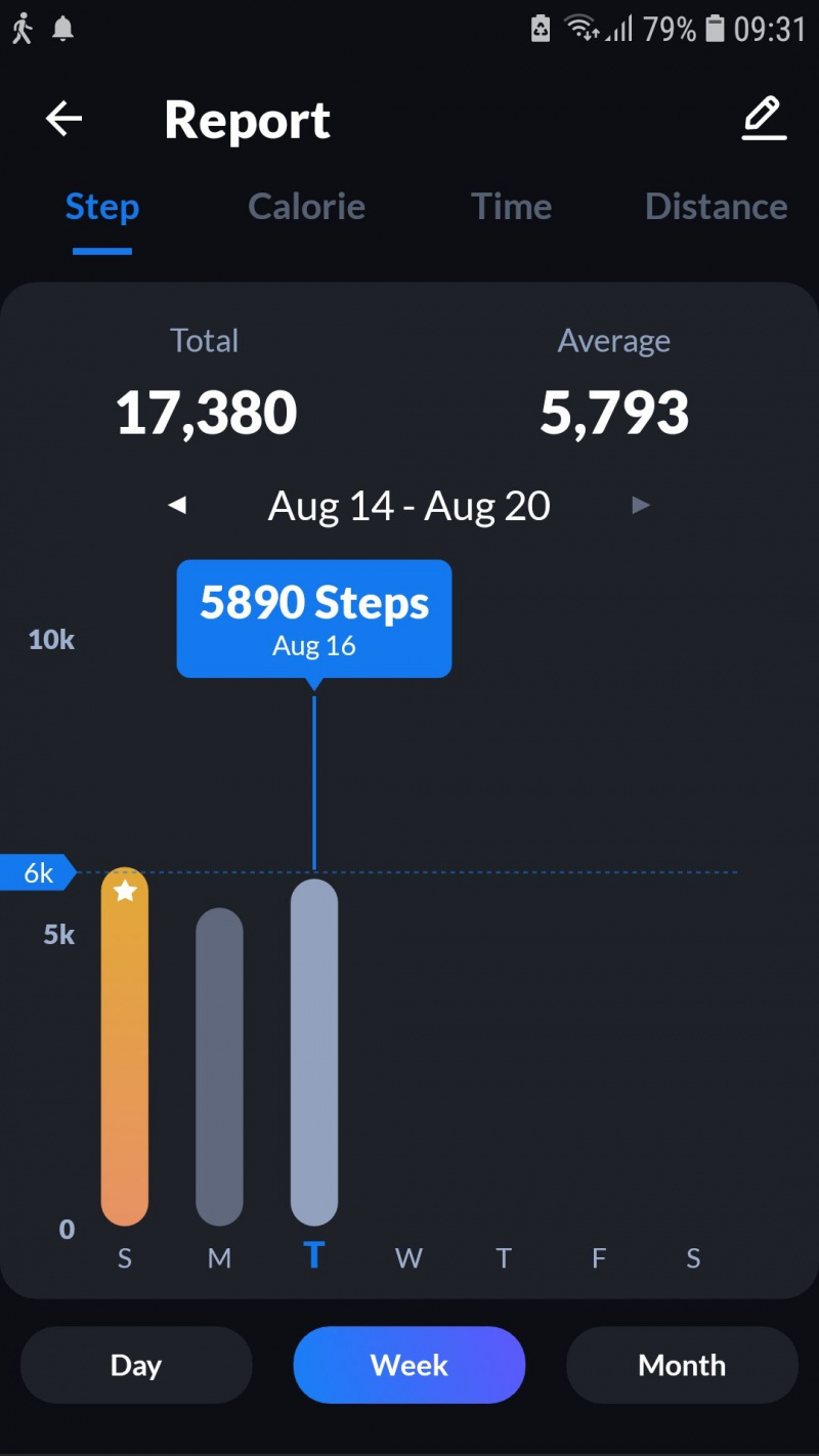   Relatório do aplicativo móvel Leap Fitness Step Tracker